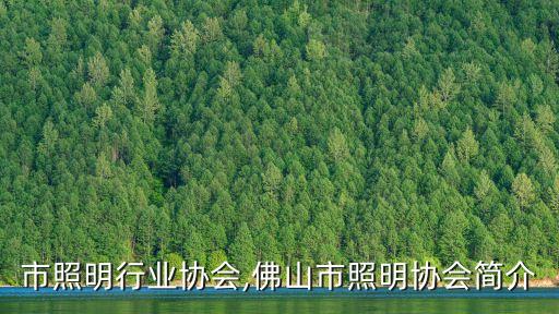 市照明行业协会,佛山市照明协会简介