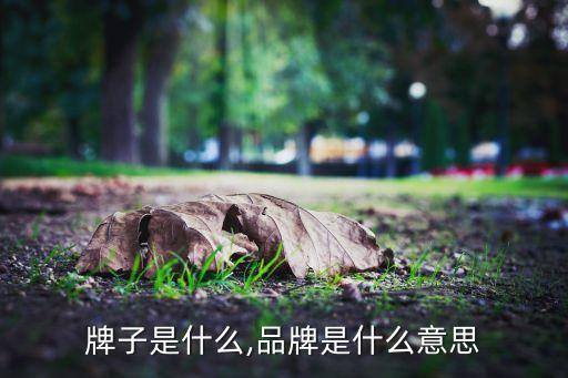 赌石牌子是什么,品牌是什么意思?