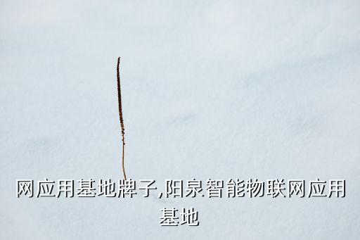 网应用基地牌子,阳泉智能物联网应用基地