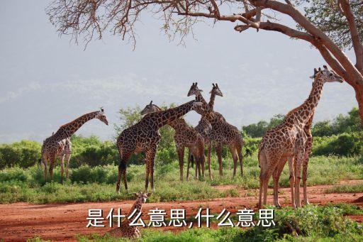 控场是什么意思,什么意思?