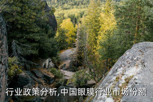 眼罩行业政策分析,中国眼膜行业市场份额