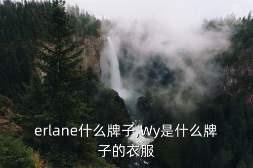everlane什么牌子,Wy是什么牌子的衣服?
