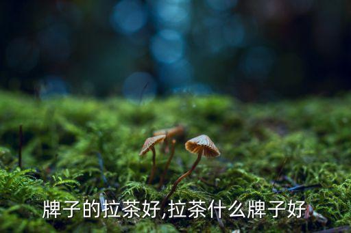 哪个牌子的拉茶好,拉茶什么牌子好?