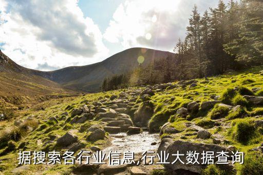 大数据搜索各行业信息,行业大数据查询