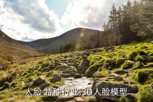 三维人脸 特种行业,3D人脸模型