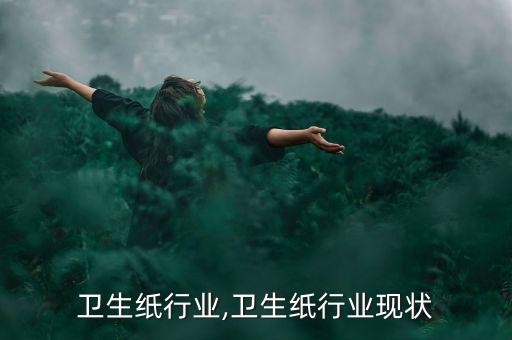 卫生纸行业,卫生纸行业现状