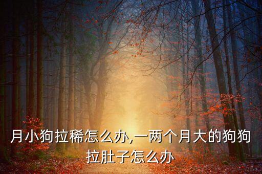 月小狗拉稀怎么办,一两个月大的狗狗拉肚子怎么办