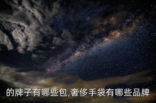 的牌子有哪些包,奢侈手袋有哪些品牌