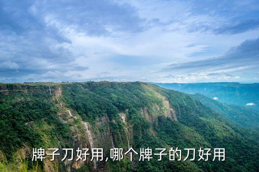 牌子刀好用,哪个牌子的刀好用