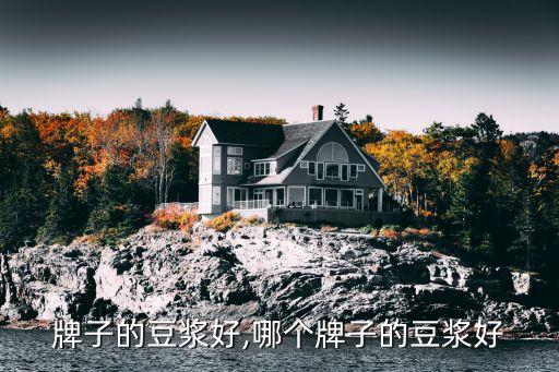 那个牌子的豆浆好,哪个牌子的豆浆好?