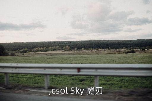 翼刃,csol Sky 翼刃