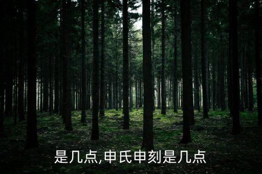 申刻是几点,申氏申刻是几点