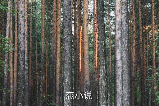 恋小说