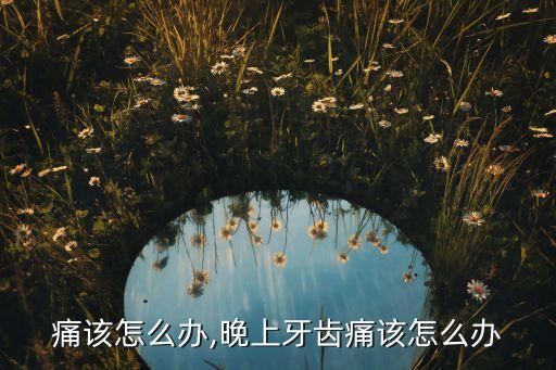 牙齿痛该怎么办,晚上牙齿痛该怎么办