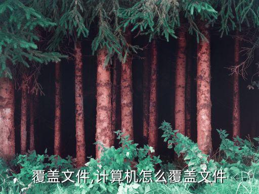 覆盖文件,计算机怎么覆盖文件