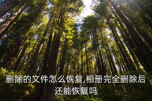 手机删除的文件怎么恢复,相册完全删除后还能恢复吗?