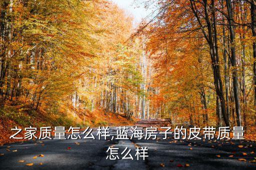 之家质量怎么样,蓝海房子的皮带质量怎么样