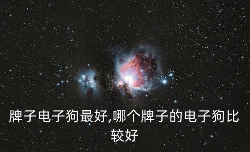 什么牌子电子狗最好,哪个牌子的电子狗比较好?