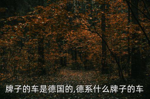 哪些牌子的车是德国的,德系什么牌子的车?