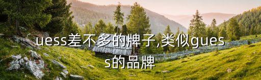 和guess差不多的牌子,类似guess的品牌
