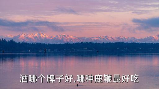 鹿鞭酒哪个牌子好,哪种鹿鞭最好吃?