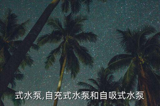 式水泵,自充式水泵和自吸式水泵