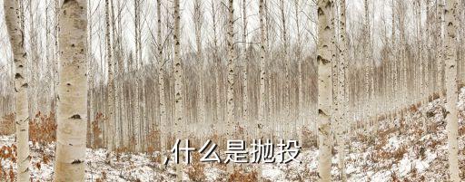 抛投,什么是抛投?