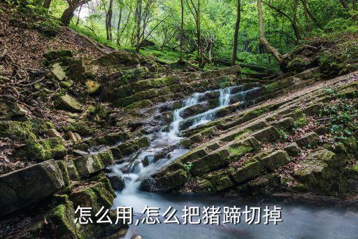怎么用,怎么把猪蹄切掉