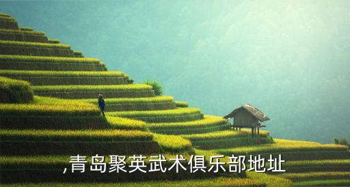 聚英,青岛聚英武术俱乐部地址