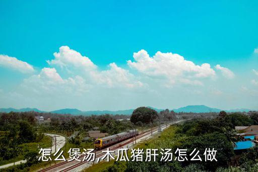 怎么煲汤,木瓜猪肝汤怎么做