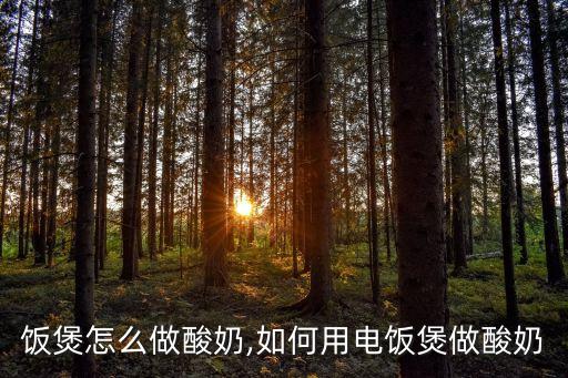 饭煲怎么做酸奶,如何用电饭煲做酸奶