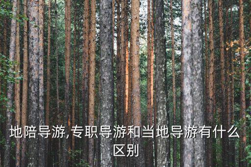 成都地陪导游,专职导游和当地导游有什么区别?