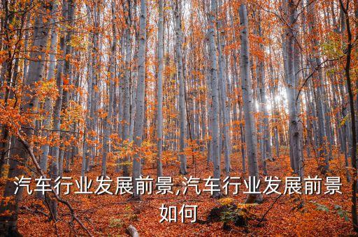 现在汽车行业发展前景,汽车行业发展前景如何?