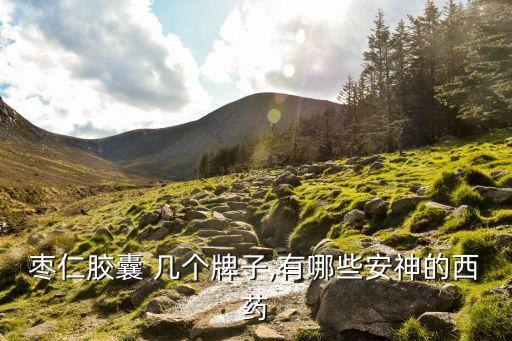 复方枣仁胶囊 几个牌子,有哪些安神的西药?