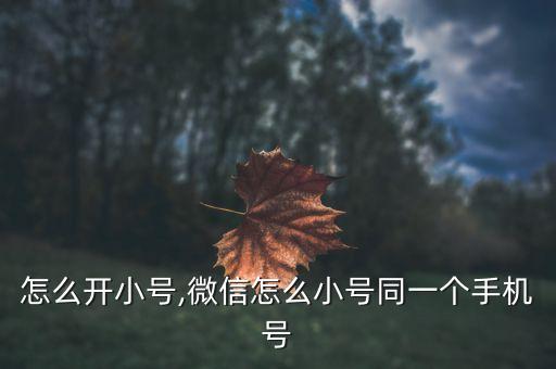 微博怎么开小号,微信怎么小号同一个手机号?