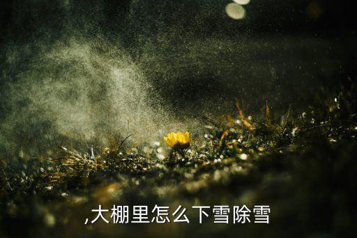 除雪,大棚里怎么下雪除雪