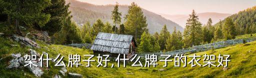 架什么牌子好,什么牌子的衣架好