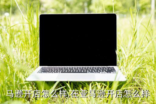 马逊开店怎么样,在亚马逊开店怎么样