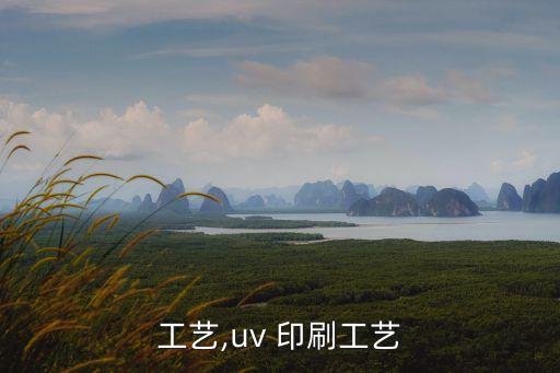 工艺,uv 印刷工艺