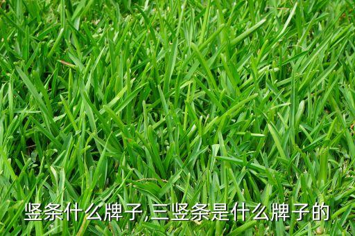 竖条什么牌子,三竖条是什么牌子的