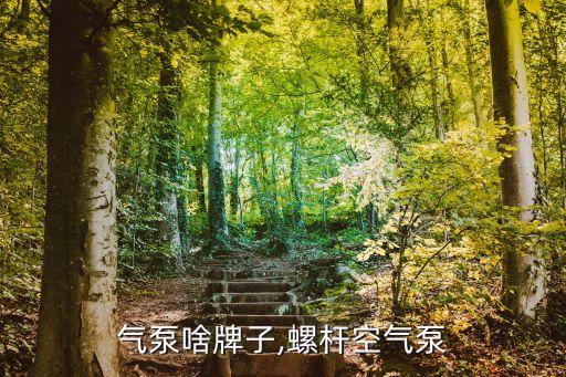 气泵啥牌子,螺杆空气泵