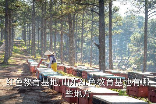 红色教育基地,山东红色教育基地有哪些地方