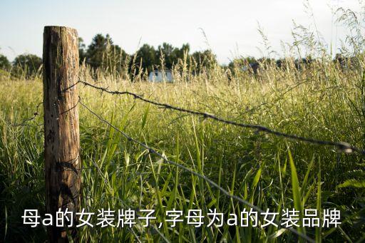 有字母a的女装牌子,字母为a的女装品牌