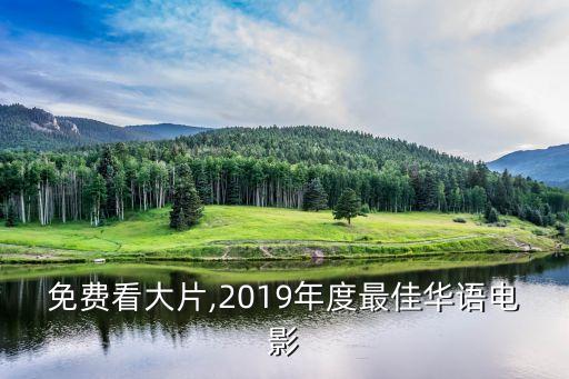 免费看大片,2019年度最佳华语电影