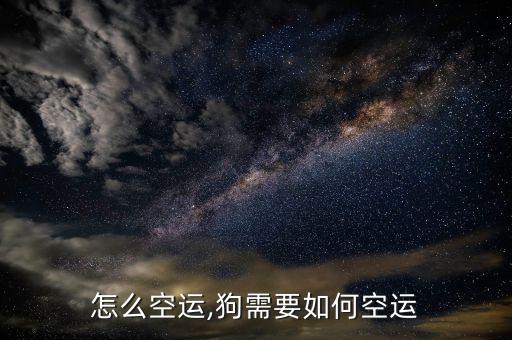小狗怎么空运,狗需要如何空运?