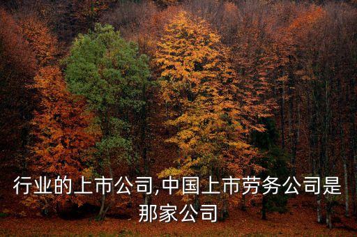 行业的上市公司,中国上市劳务公司是那家公司