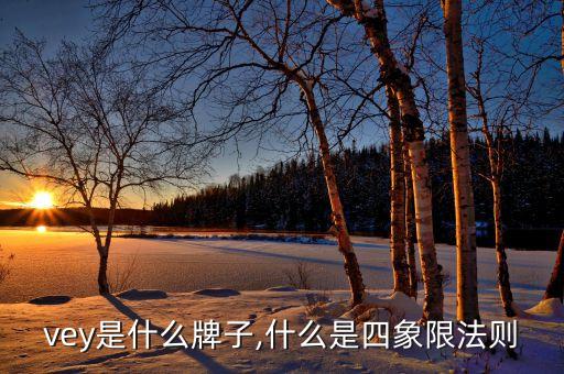 covey是什么牌子,什么是四象限法则?