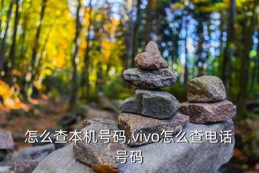 华为怎么查本机号码,vivo怎么查电话号码?
