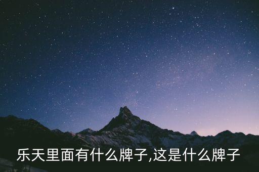 乐天里面有什么牌子,这是什么牌子