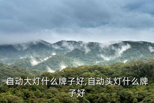 自动大灯什么牌子好,自动头灯什么牌子好